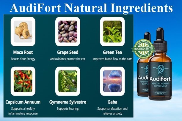 AudiFort Ingredients